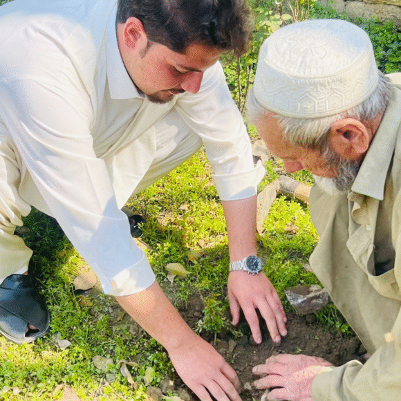 Tree Plantation drives combat many environmental issues like deforestation