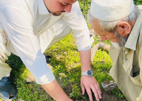 Tree Plantation drives combat many environmental issues like deforestation