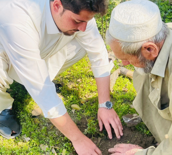 Tree Plantation drives combat many environmental issues like deforestation