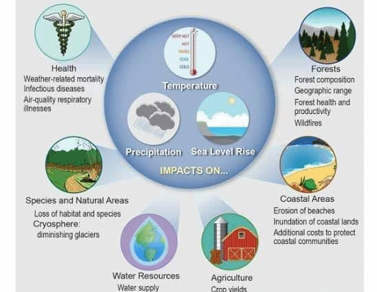 Potential Effects of Climate Change