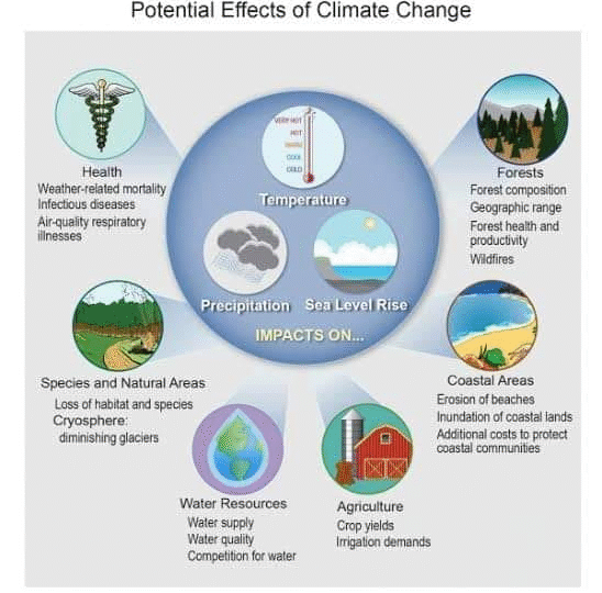 Potential Effects of Climate Change
